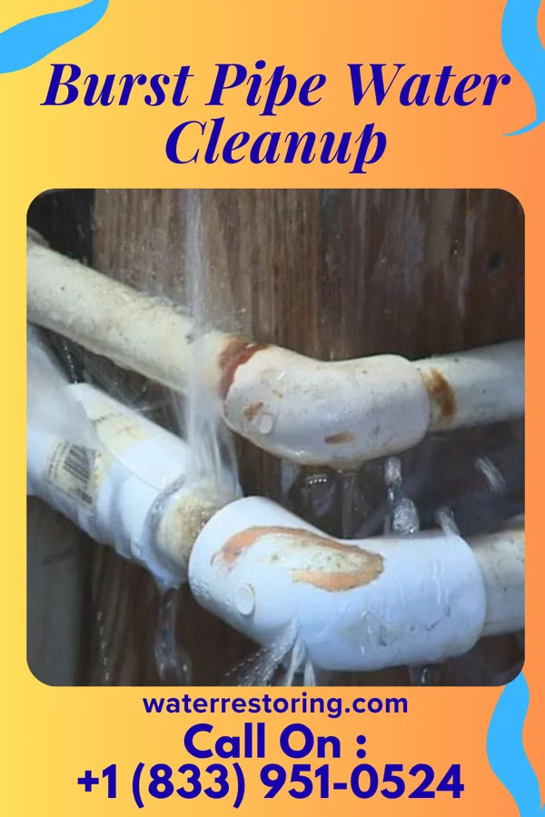 Burst Pipe Water Cleanup in Laurence Harbor, NJ