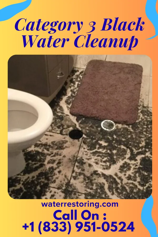 Category 3 Black Water Cleanup in Laurence Harbor, NJ