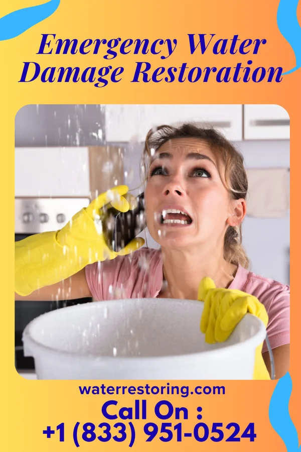 Emergency Water Damage Restoration in Laurence Harbor, NJ