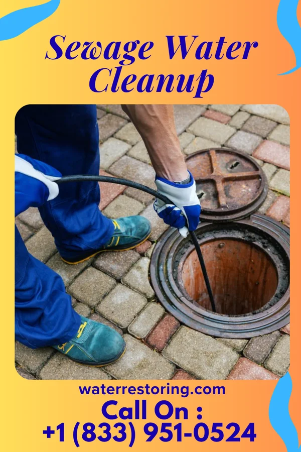 Sewage Water Cleanup in Laurence Harbor, NJ