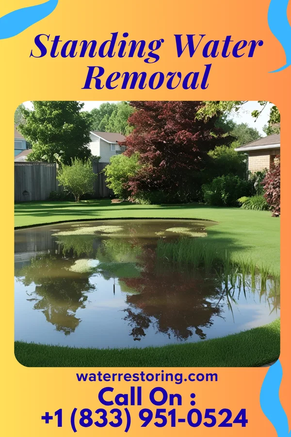 Standing Water Removal in Laurence Harbor, NJ